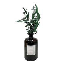 Load image into Gallery viewer, Eucalyptus &amp; Botanicals Diffusers

