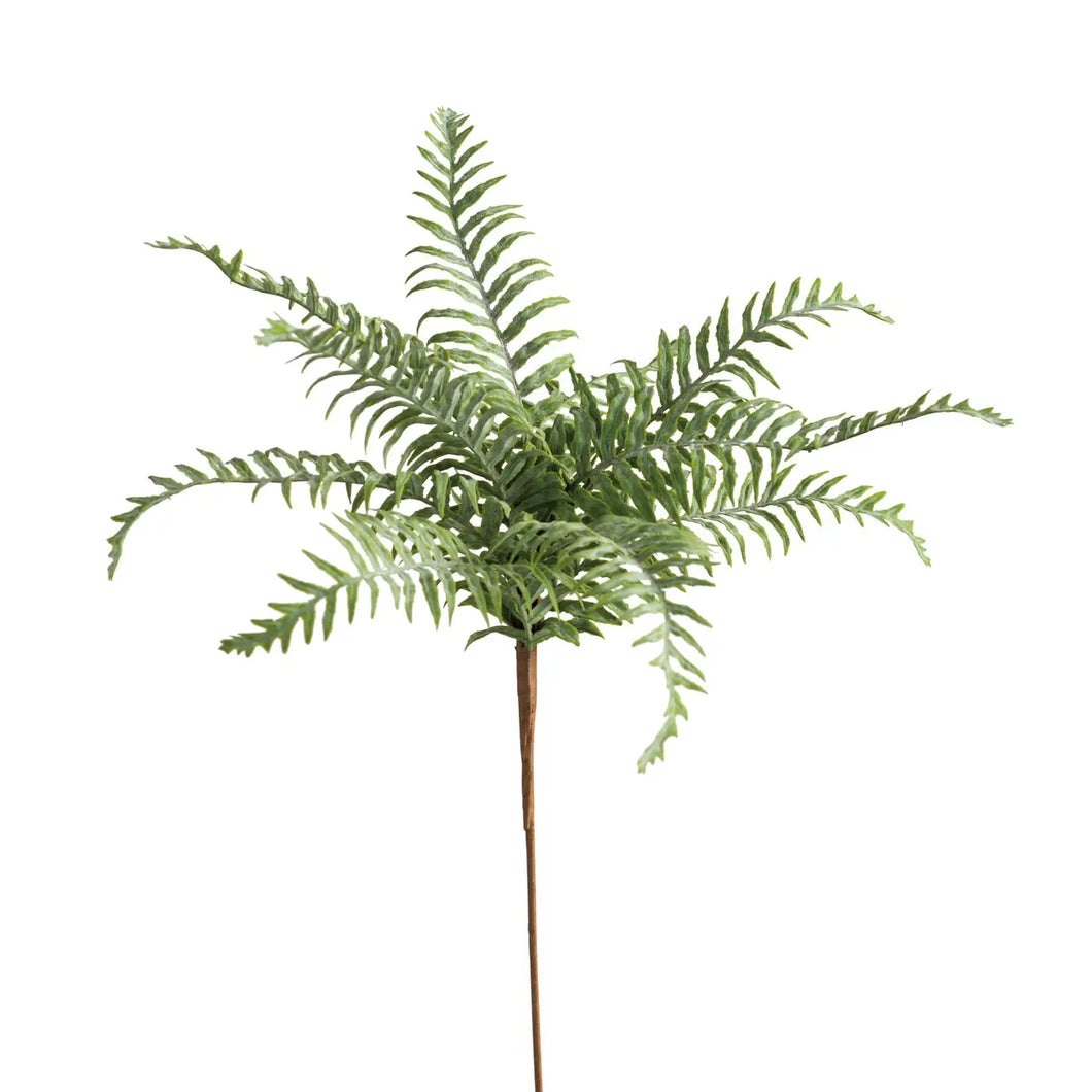 Marsh Fern Floral Pick Stem