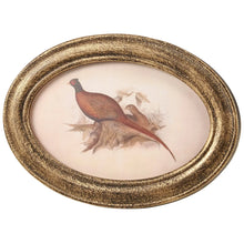 Load image into Gallery viewer, Oval Pheasant Framed Art 7.3" x 5"
