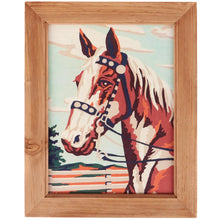 Load image into Gallery viewer, American Paint Framed Wall Art
