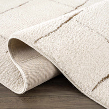 Load image into Gallery viewer, Koume Ivory &amp; Brown Area Rug [Online Only]

