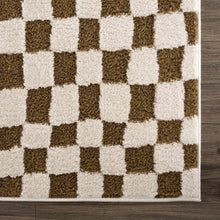 Load image into Gallery viewer, Lajos Brown Checkered Shag Rug [Online Only]
