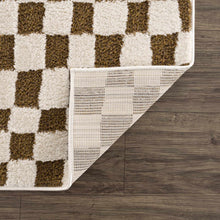 Load image into Gallery viewer, Lajos Brown Checkered Shag Rug [Online Only]
