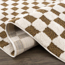 Load image into Gallery viewer, Lajos Brown Checkered Shag Rug [Online Only]
