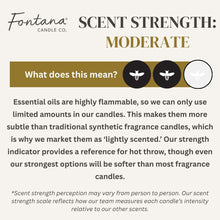 Load image into Gallery viewer, Sea Salt Beeswax Wax Melts | Fontana Candle Co. [Online Only]

