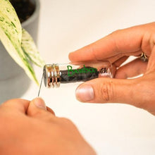 Load image into Gallery viewer, Bamboo Charcoal Floss in Glass Container [Online Only]
