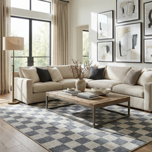 Load image into Gallery viewer, Alie Blue Gray Checkered Washable Rug [Online Only]
