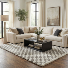 Load image into Gallery viewer, Kieu Taupe Checkered Plush Rug [Online Only]
