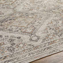Load image into Gallery viewer, Barny Beige Flat Pile Washable Rug [Online Only]
