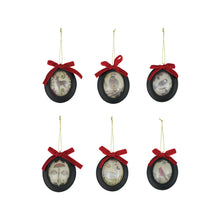 Load image into Gallery viewer, Convex Resin Framed Ornament with Seasonal Botanicals, Animal &amp; Velvet Bow (6 Styles)
