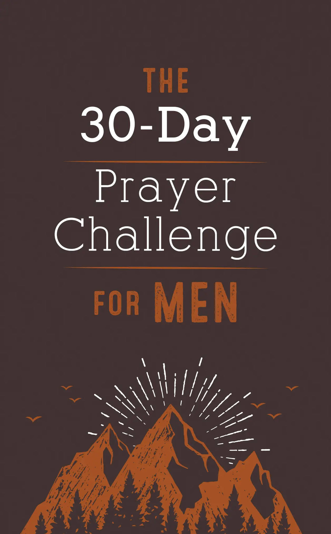 30 Day Prayer Challenge For Men