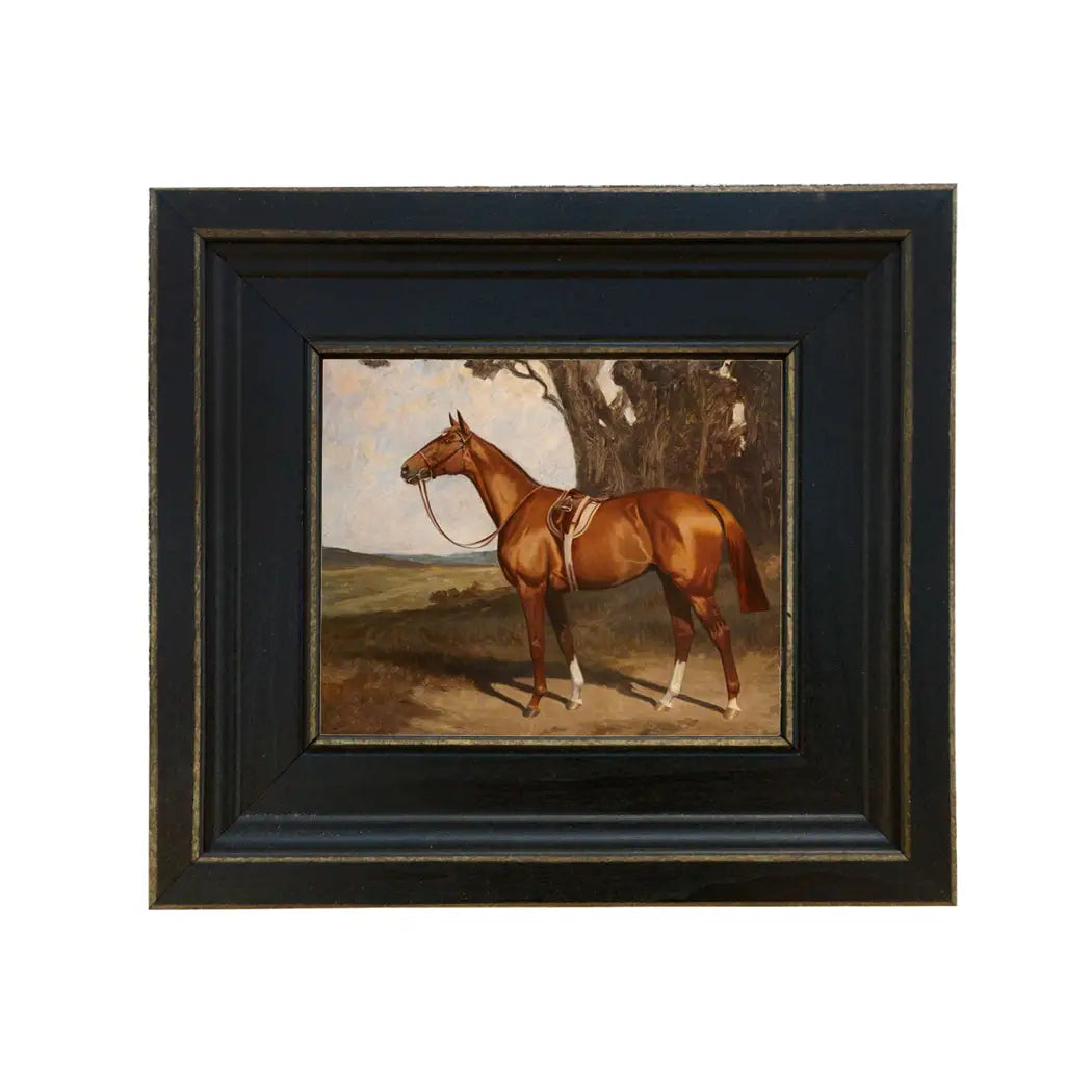 Saddled Chestnut Racehorse Framed Print