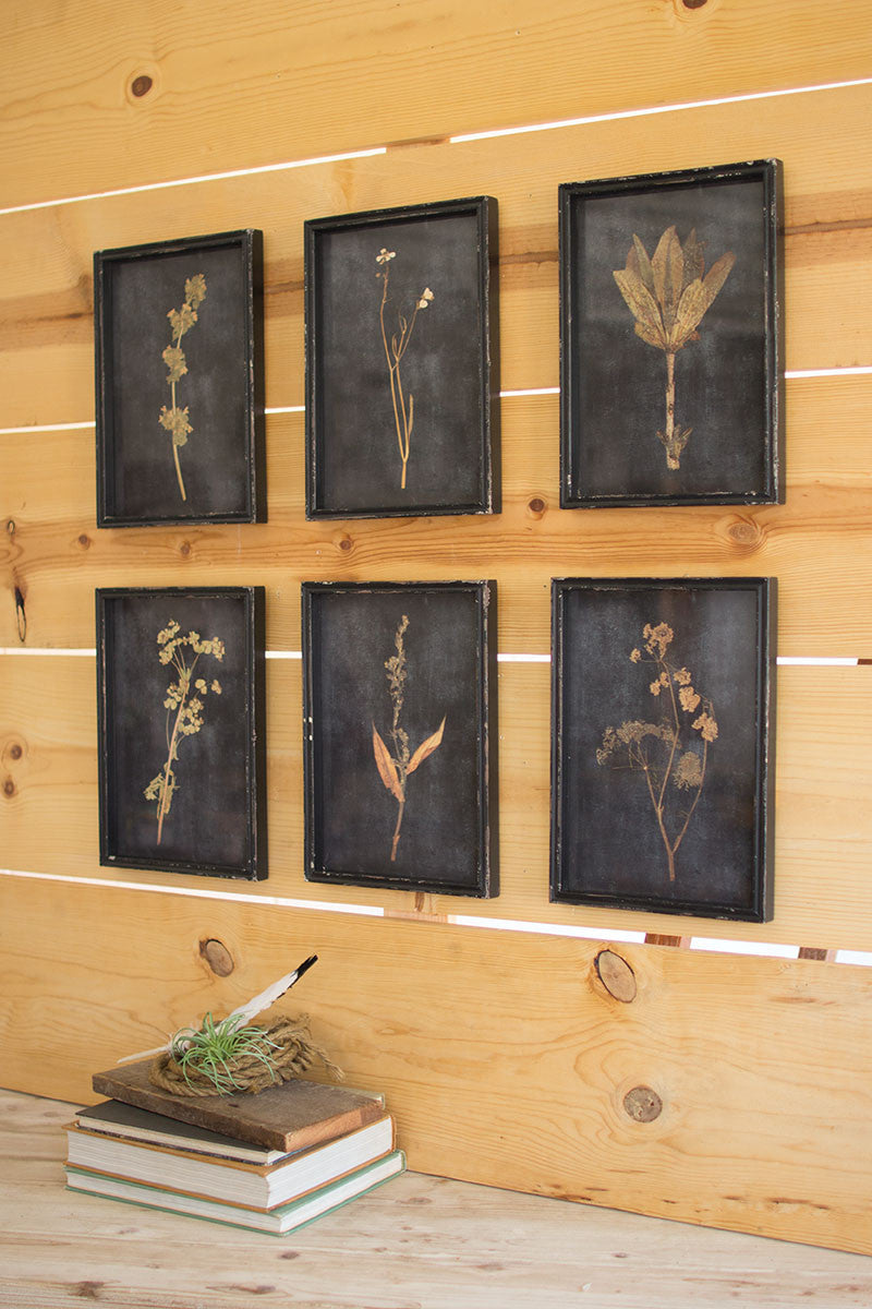 Framed Black Botanical Prints (Set of 6)