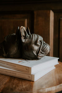 Set of Frenchie Bookends
