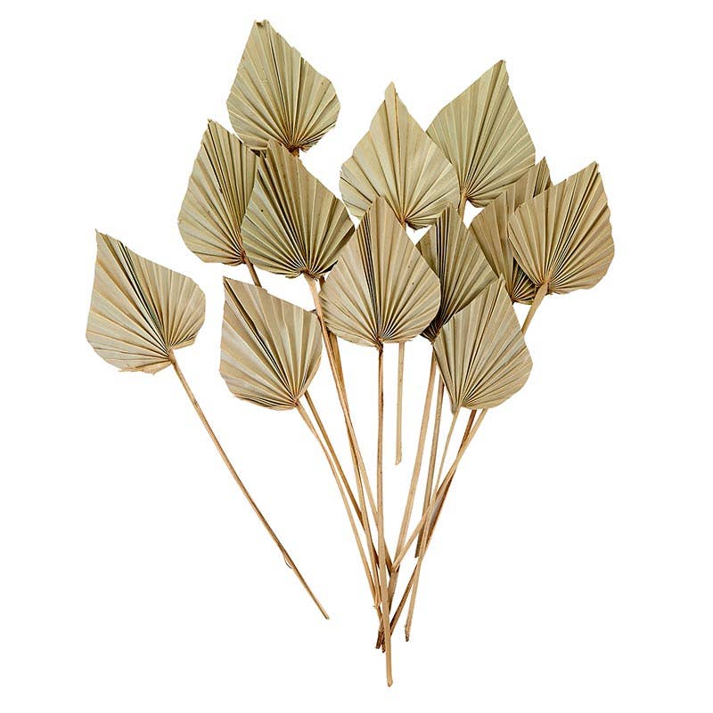Palm Spear Bunch