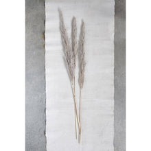 Load image into Gallery viewer, Dried Pampas Grass, Natural
